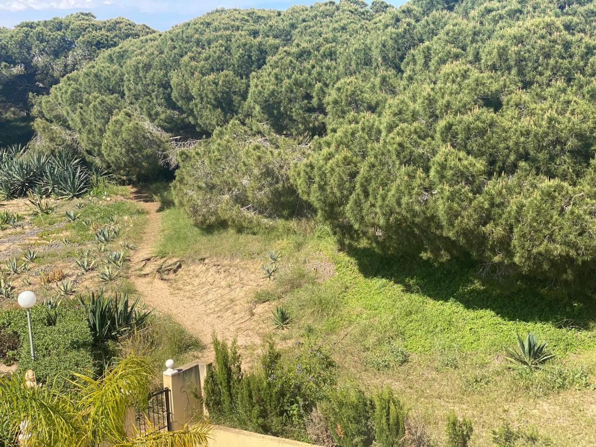 Casa De La Duna Costa Blanca Ла Мата Екстериор снимка